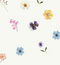 Pressed Flowers